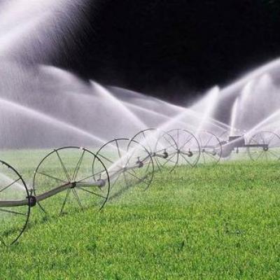 Why drip irrigation saves water than traditional irrigation
